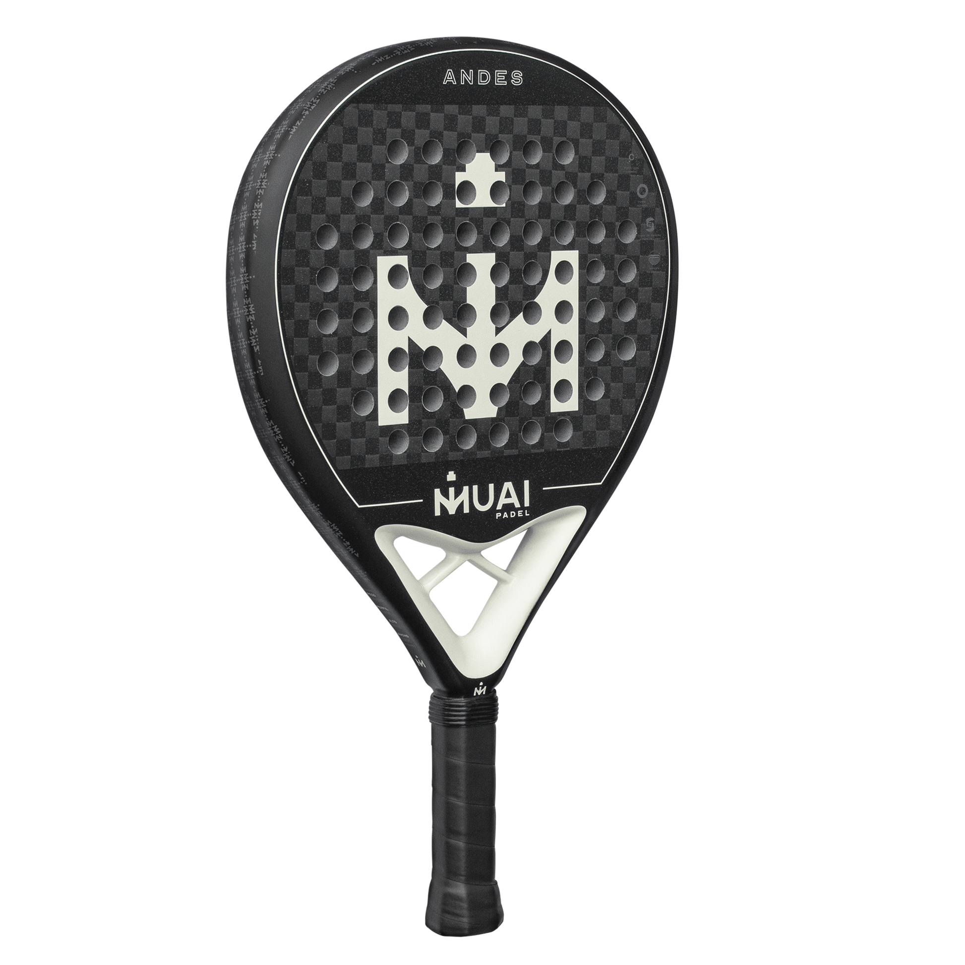 PALA-DE-PADEL-ANDES3