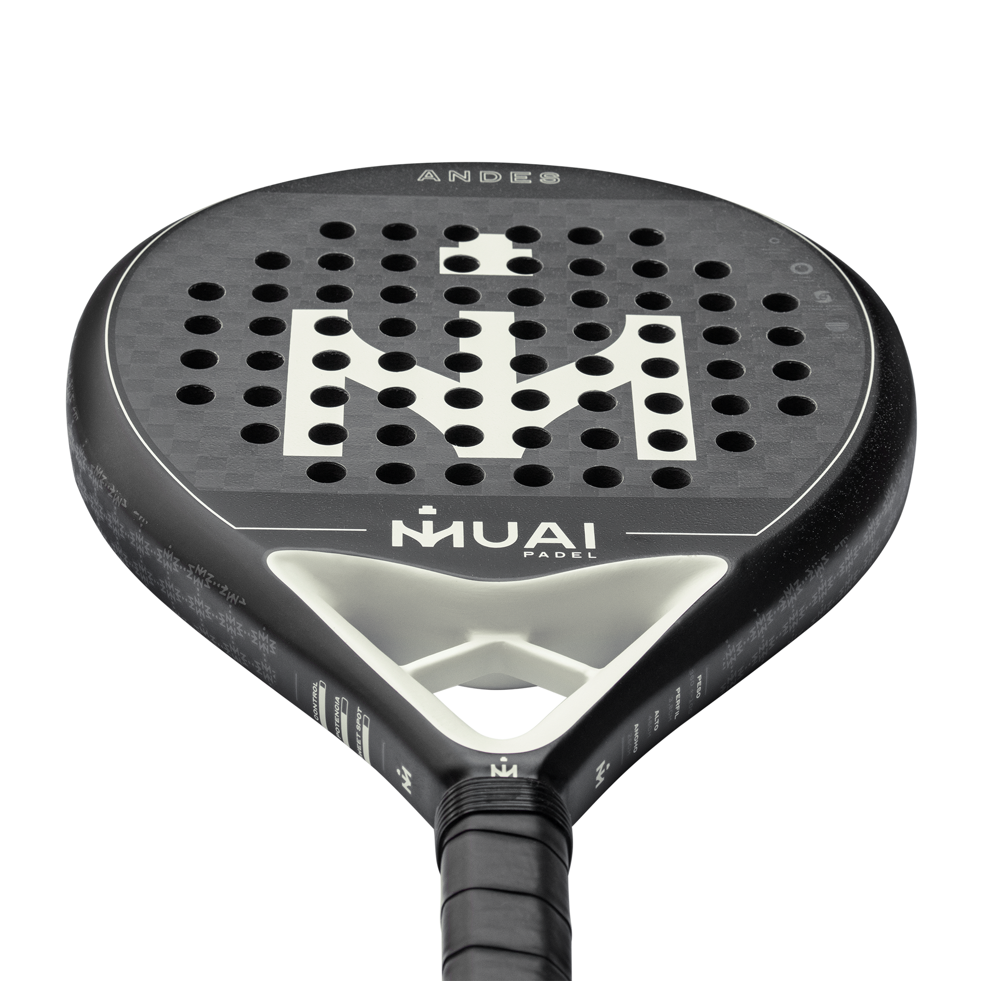 PALA-DE-PADEL-ANDES4